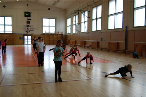Obrázek v galerii